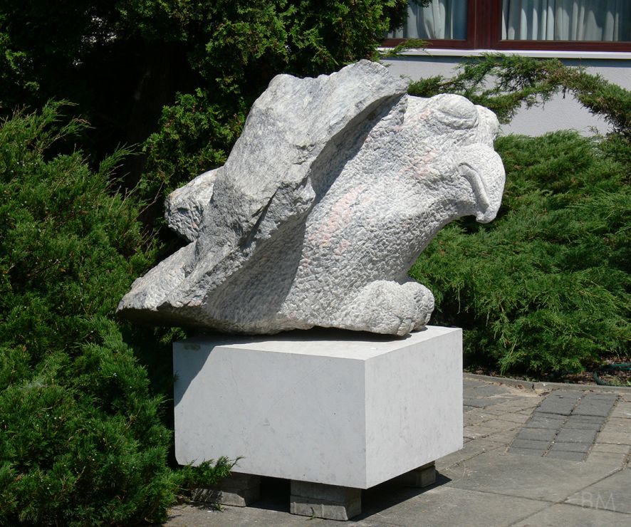 Ptak IX